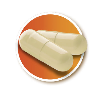 Travel Capsules Value Pack - 3 Pack – seaband-us
